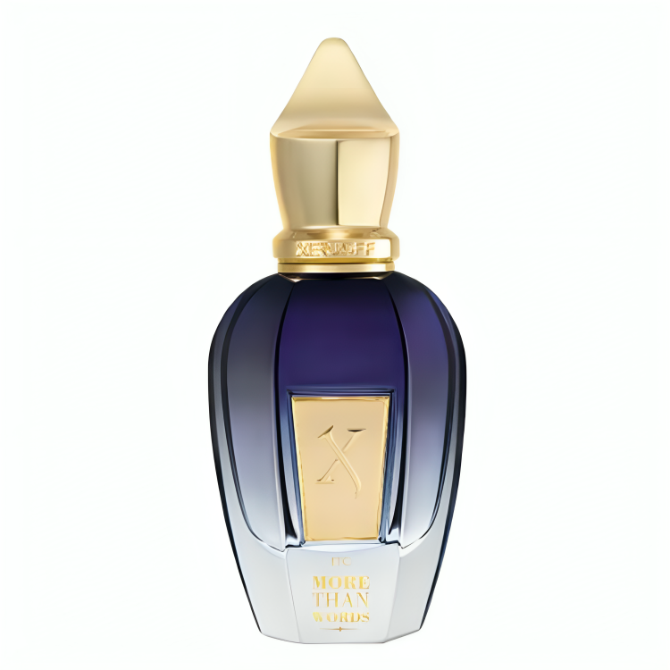 XERJOFF JTC MORE THAN WORDS EDP 50ML