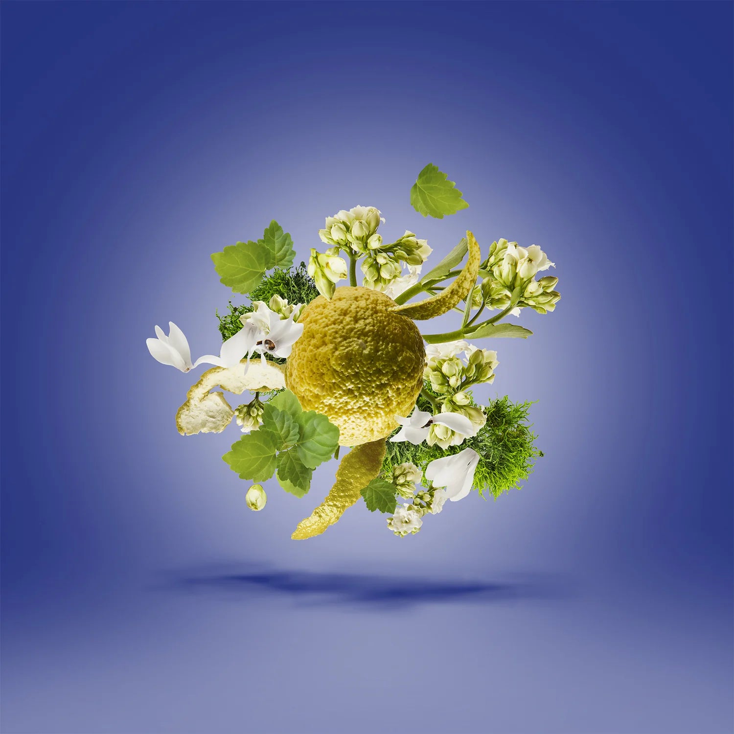 XERJOFF TORINO 23 EDP 50ML