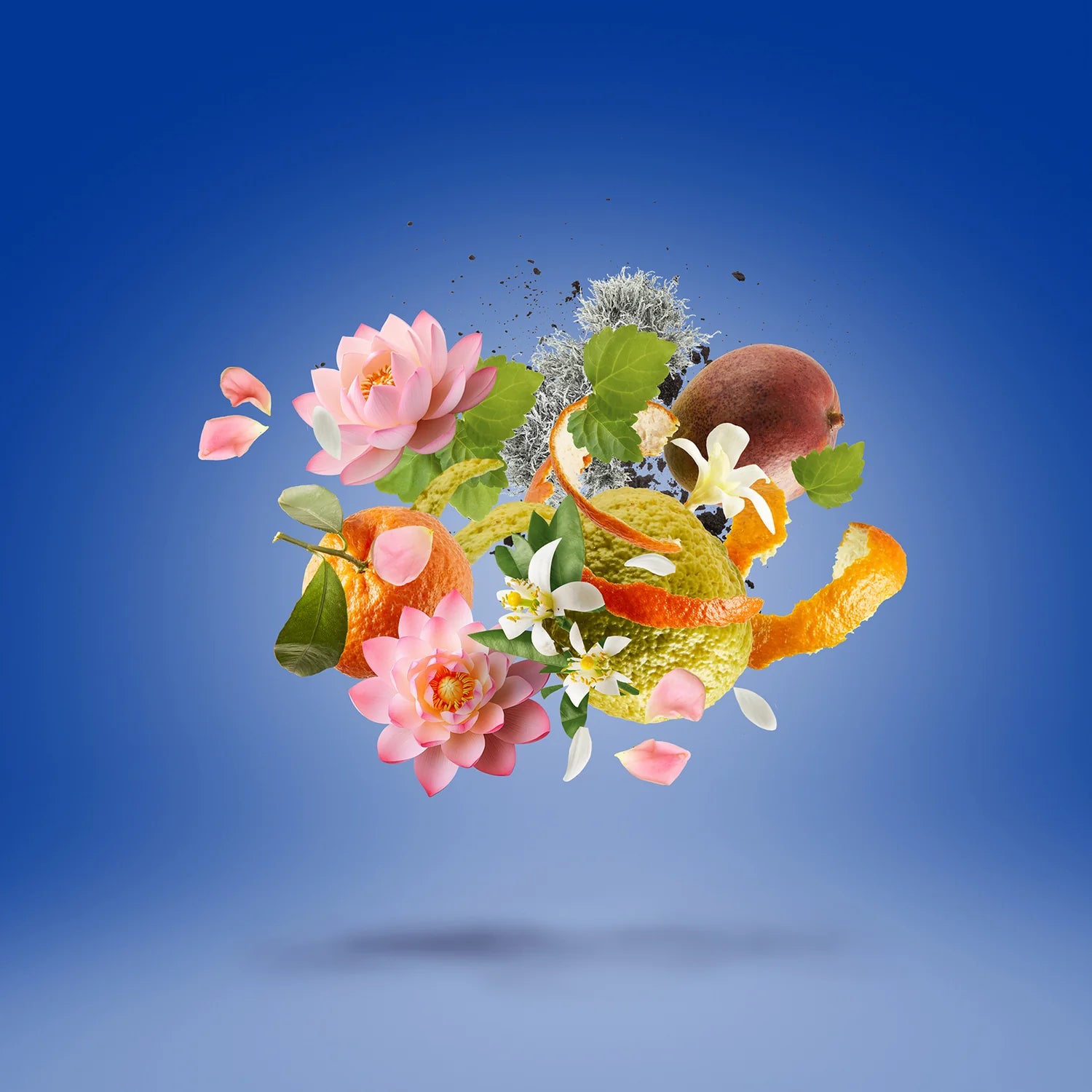 XERJOFF TORINO 24 EDP 50ML