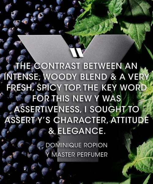 YSL Y Eau de Parfum Intense for men 100ML