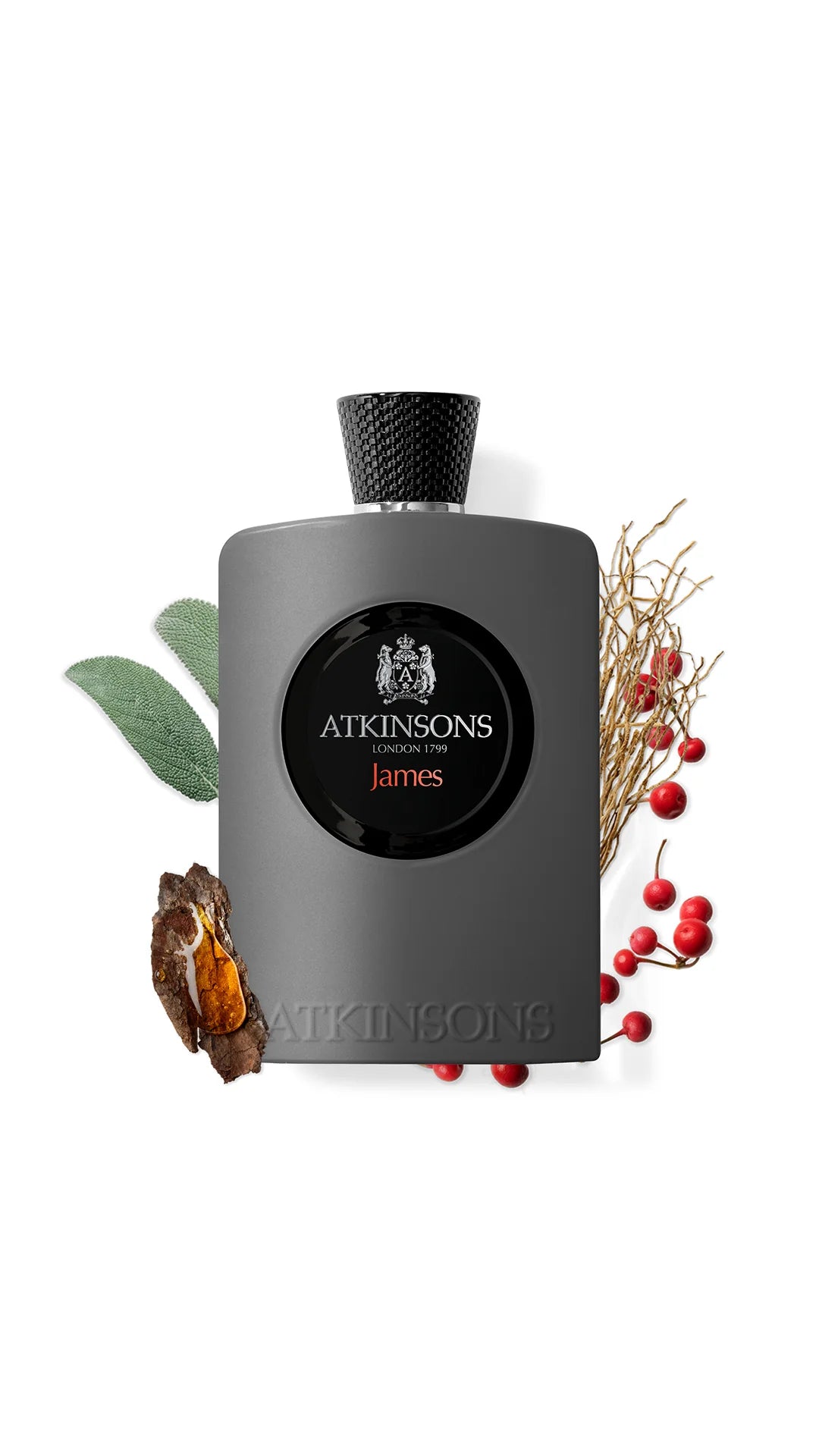ATKINSONS JAMES (M) EDP 100 ML
