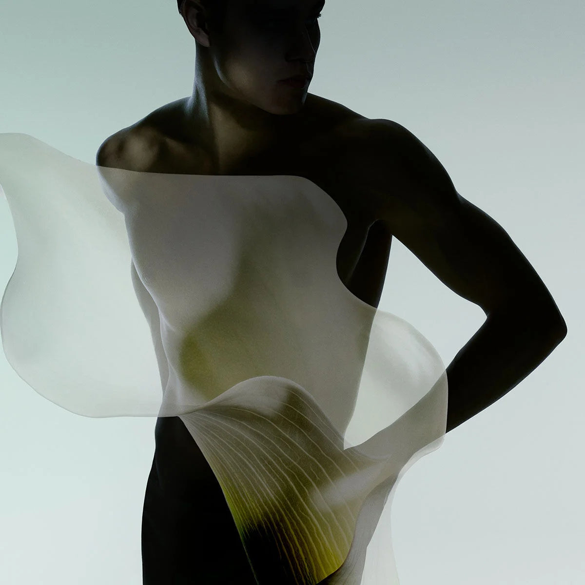 Giorgio Armani Armani Prive Vert Malachite for women and men