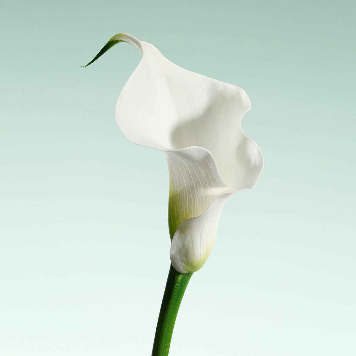 Giorgio Armani Armani Prive Vert Malachite for women and men