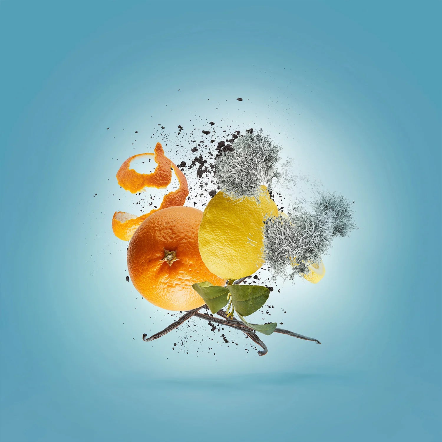 XERJOFF V ERBA PURA EDP 100ML