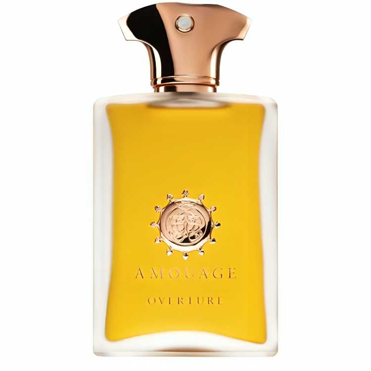 AMOUAGE OVERTURE (M) EDP 100ML