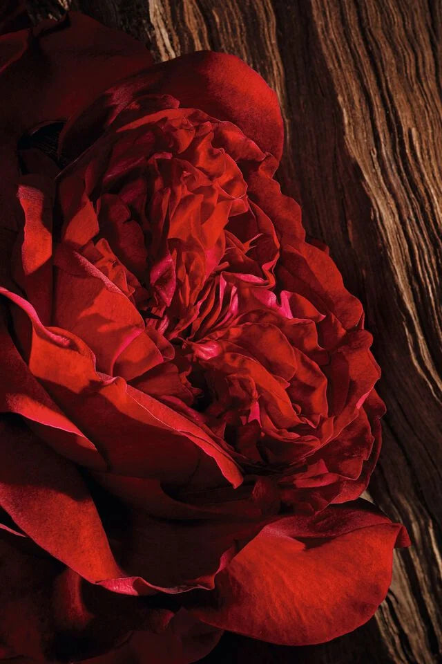 CHRISTIAN DIOR OUD ISPAHAN EDP 100ML