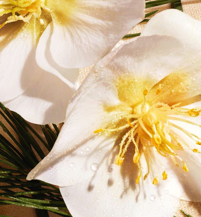 CHRISTIAN DIOR EDEN-ROC EDP 125ML