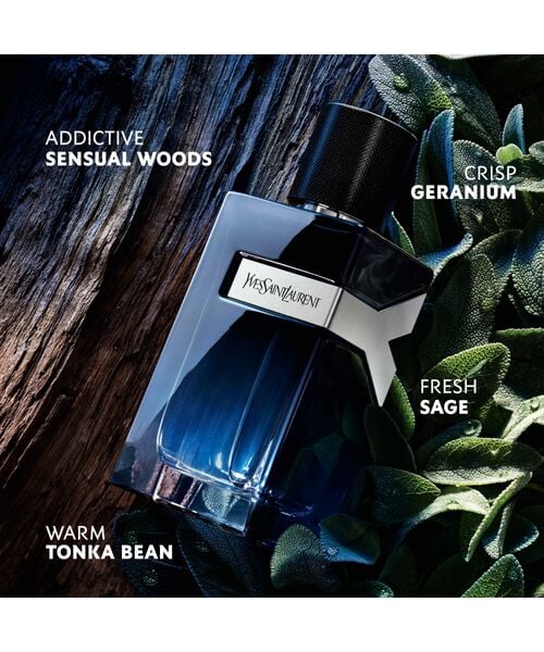 YSLY Eau de Parfum for men 100ML