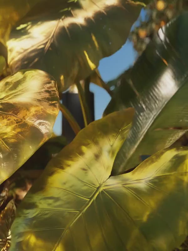 BVLGARI LE GEMME GARANAT (M) EDP 100 ML