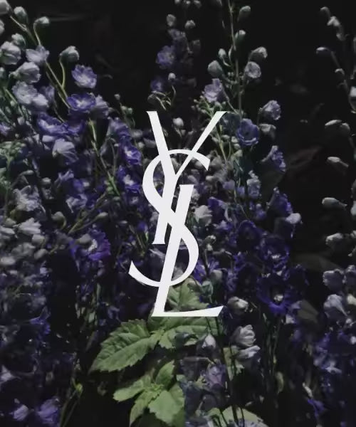 Tuxedo Yves Saint Laurent for (U) 75ML