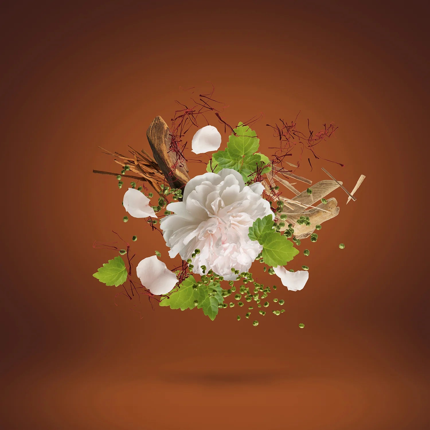 XERJOFF CASAMORATI 1888 EDP 100ML