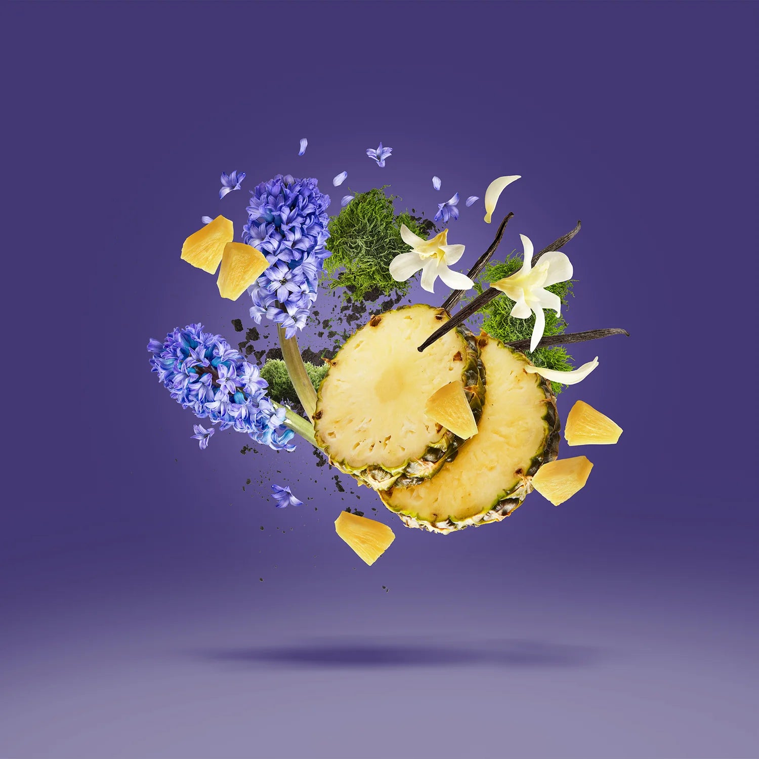 XERJOFF V ACCENTO EDP 100ML