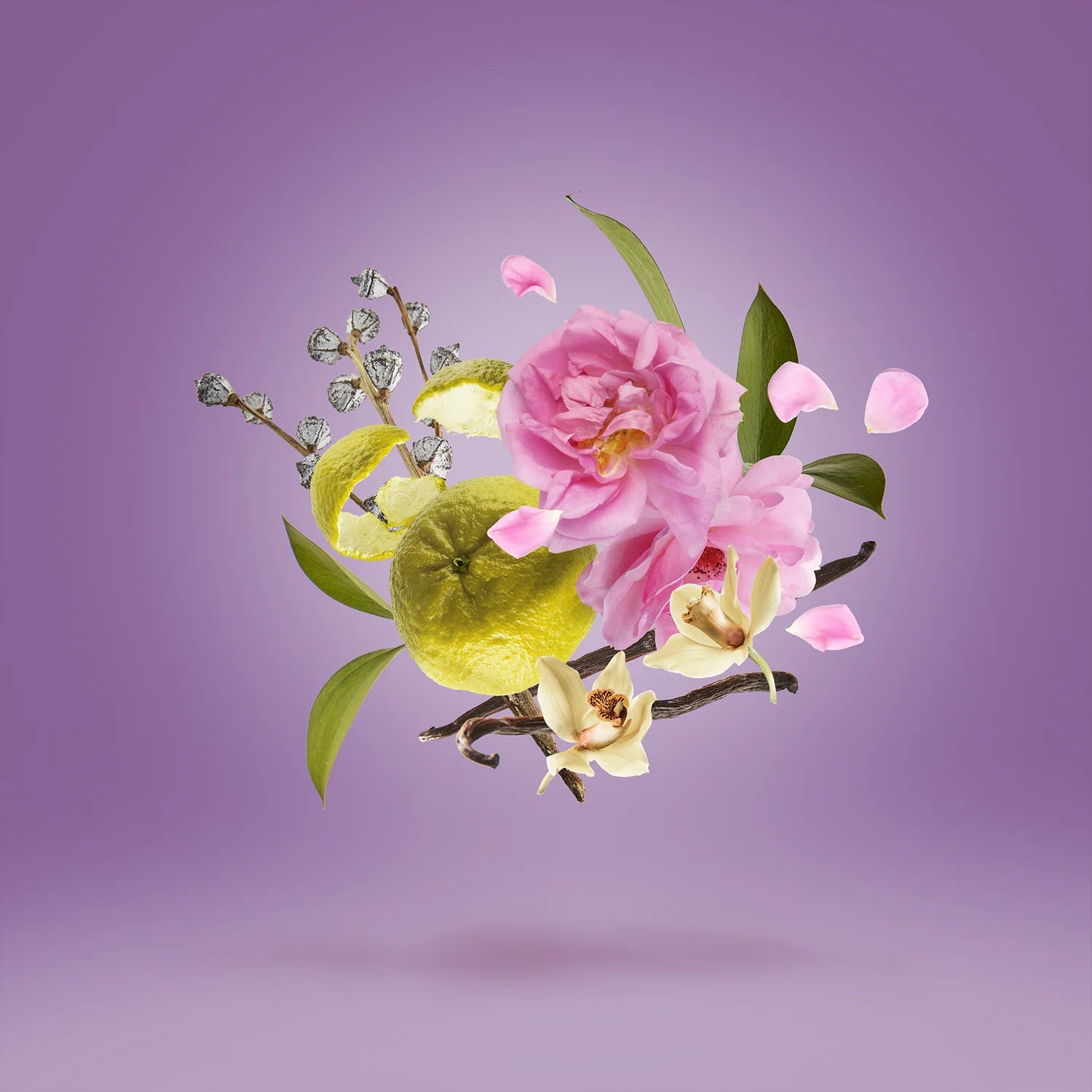 XERJOFF CASAMORATI LA TOSCA EDP FOR WOMEN 100ML