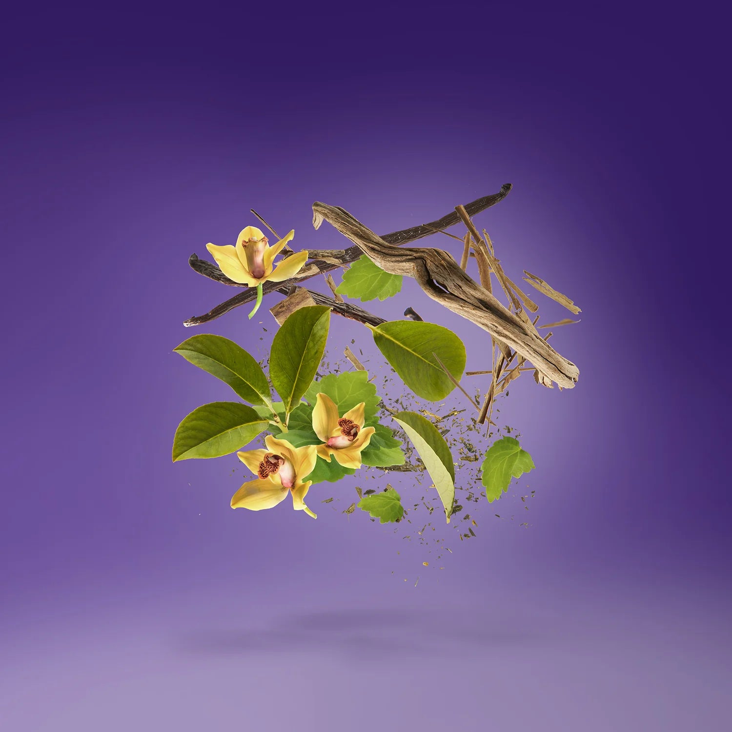 XERJOFF V LAYLATI EDP 100ML NEW BOX