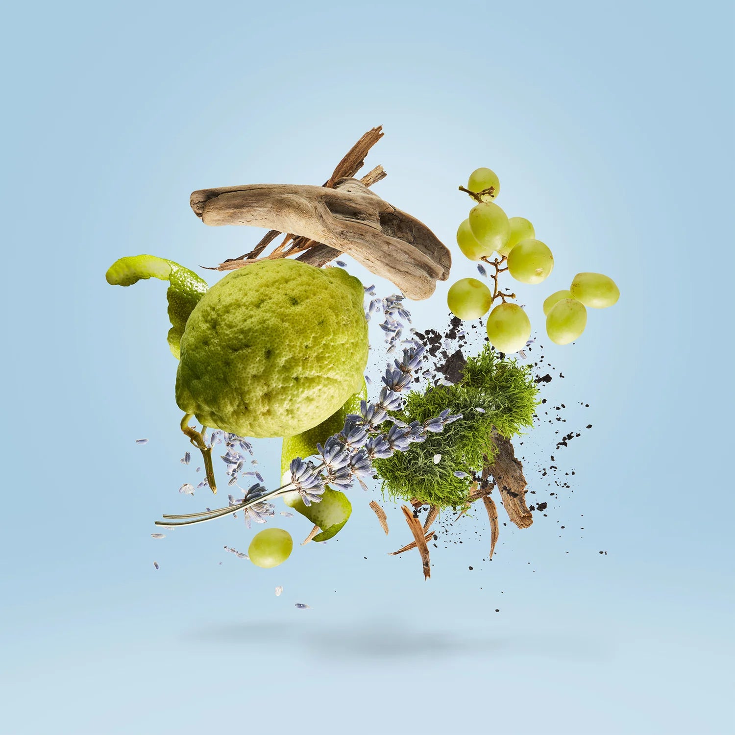 XERJOFF CASAMORATI MEFISTO GENTILUOMO EDP 100ML