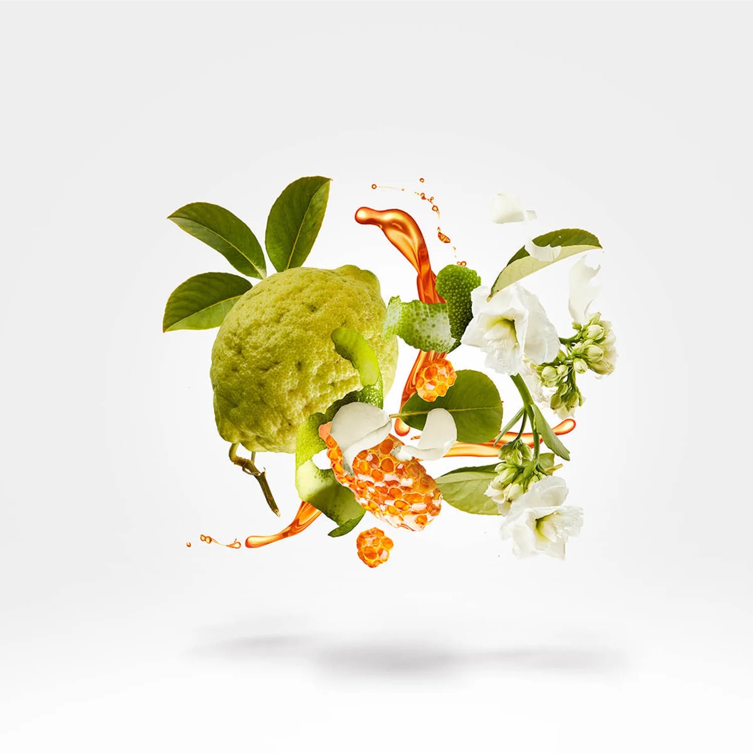 XERJOFF 1861 NAXOS EDP 100ML