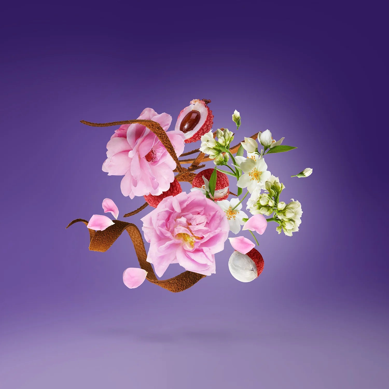 XERJOFF V SOPRANO EDP 100ML